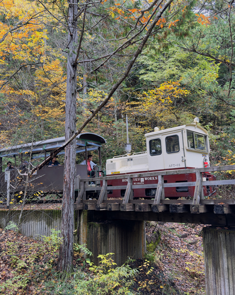赤沢自然休養林