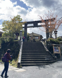 吉野山の桜