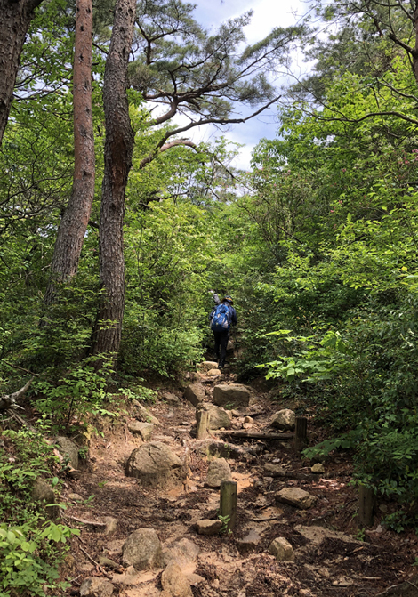 赤坂山