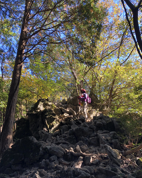 竜ヶ岳登山