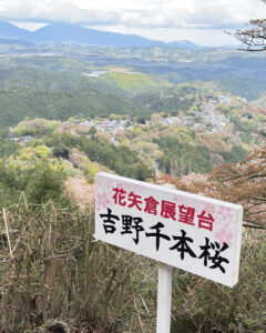 吉野山の桜