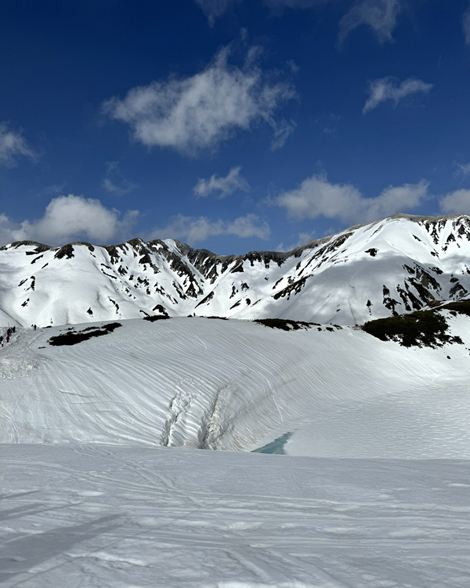 立山・雪の大谷