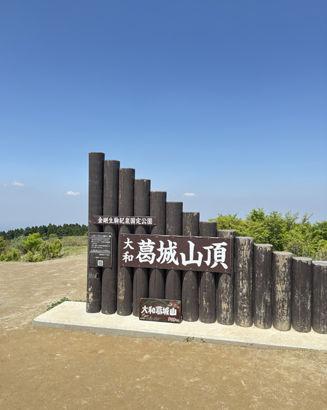 葛城山のつつじ