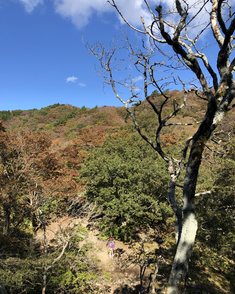 竜ヶ岳登山