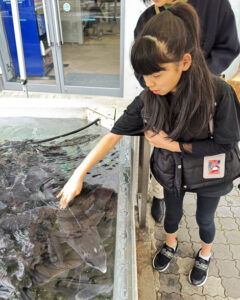 世界淡水園水族館アクア・ トトぎふ