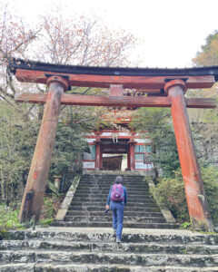吉野山の桜