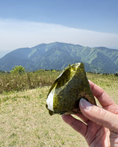 葛城山のつつじ
