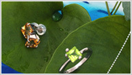 DAILY JEWELRY